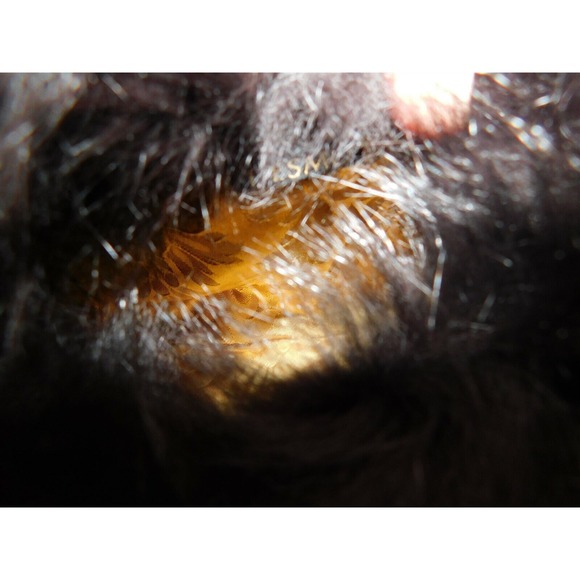 Desmo Italy Black Fur Trim Small Shoulder Bag - Picture 6 of 7